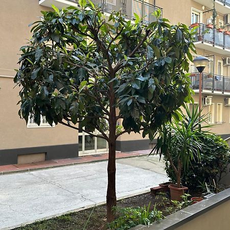 Nolo62, A Nifty Flat In Milan Lejlighed Eksteriør billede