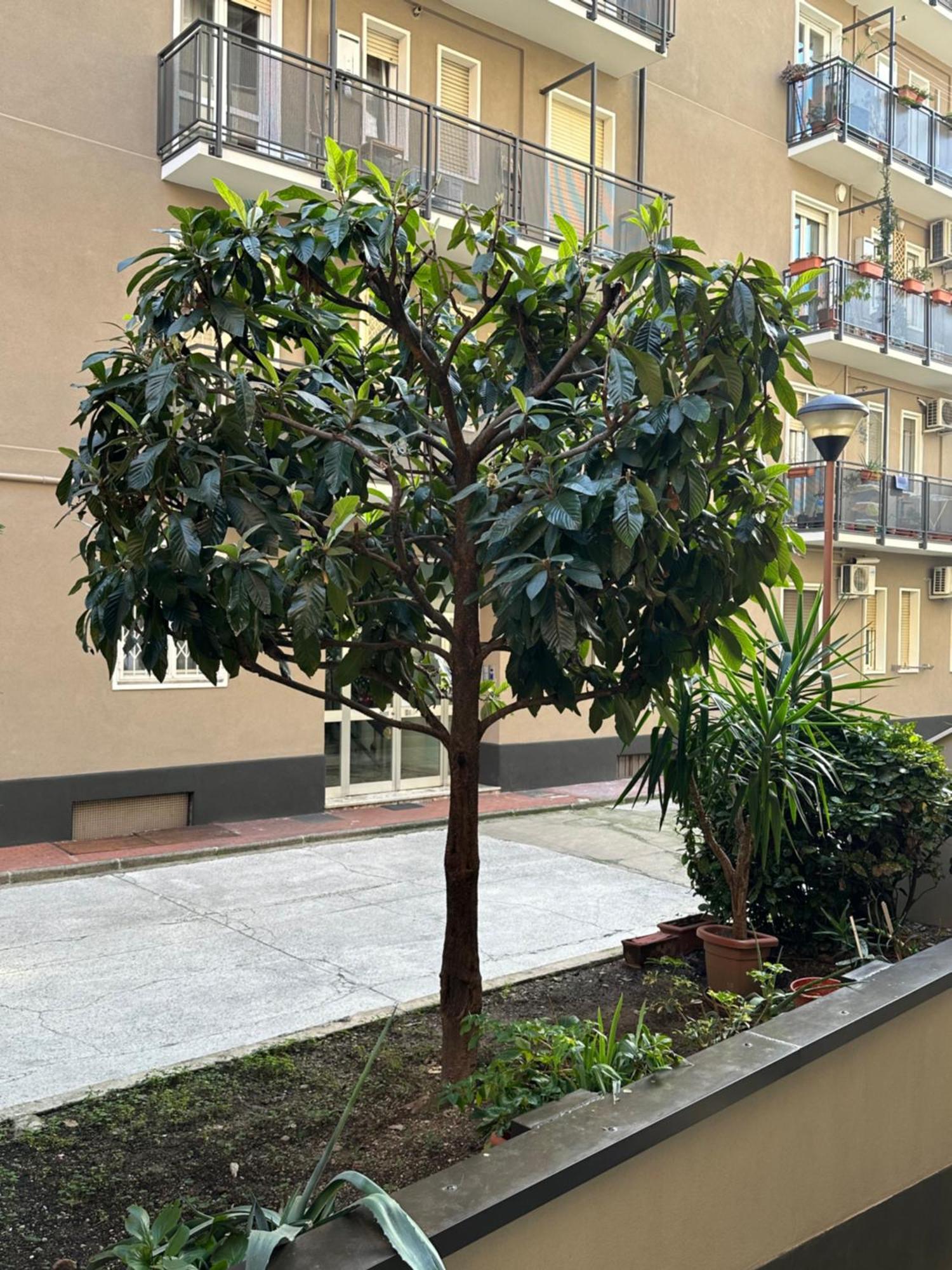 Nolo62, A Nifty Flat In Milan Lejlighed Eksteriør billede